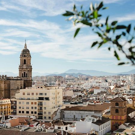 Homely Malaga Cienfuegos, Plaza De La Merced Con Vistas 외부 사진